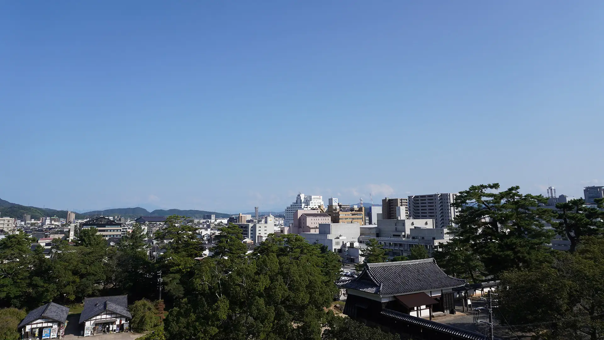 スライド1