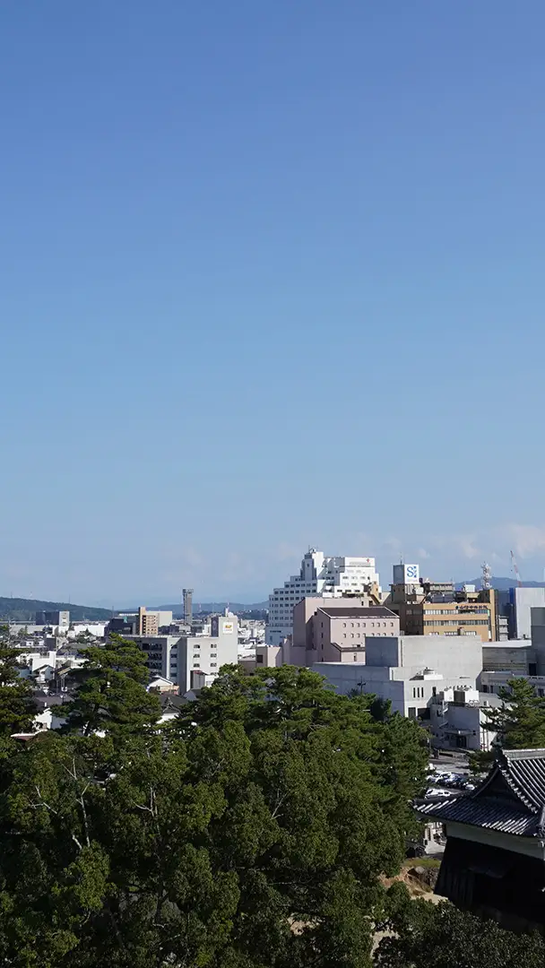 スライド1